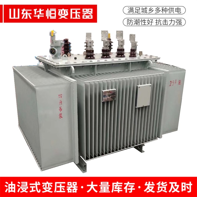 S13-10000/35抚远抚远抚远电力变压器厂家