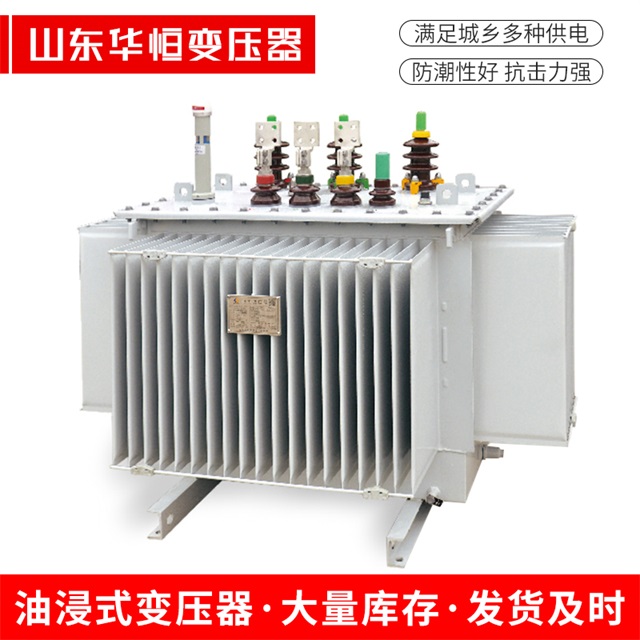 S13-10000/35抚远抚远抚远电力变压器