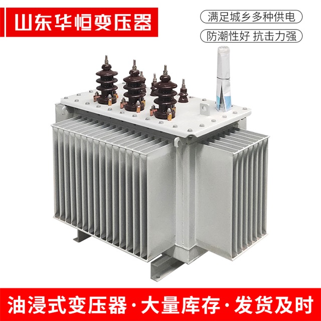S13-10000/35抚远抚远抚远油浸式变压器厂家